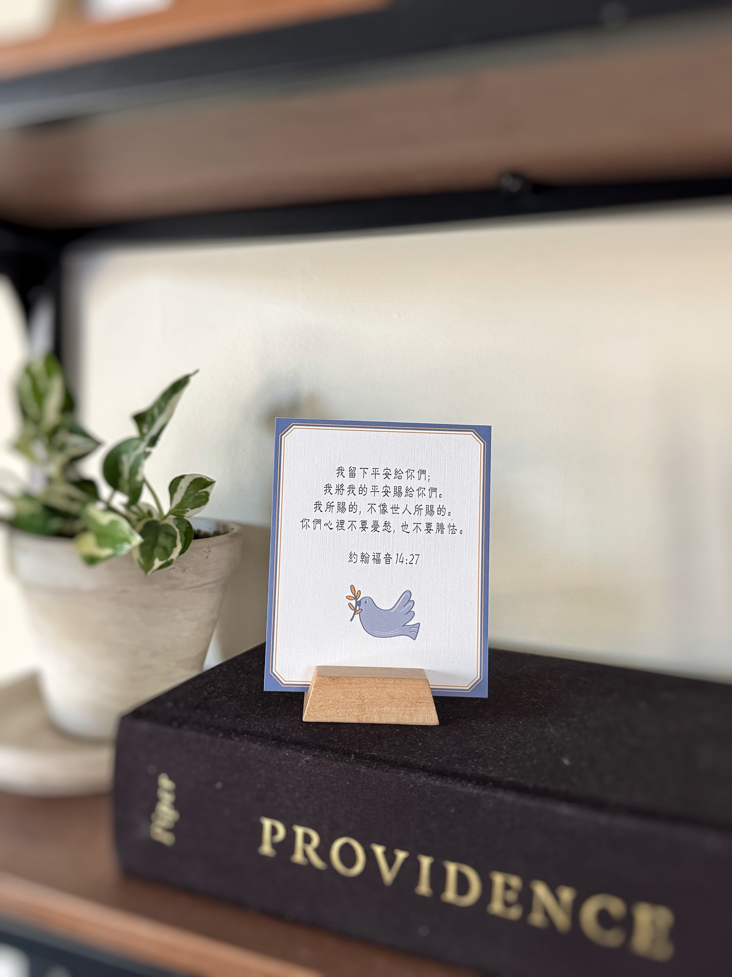 Verse Cards: God's Promises in Chinese