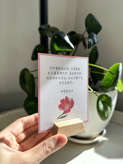 Verse Cards: God's Promises in Chinese