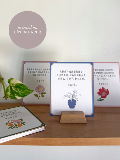 Verse Cards: God's Promises in Chinese