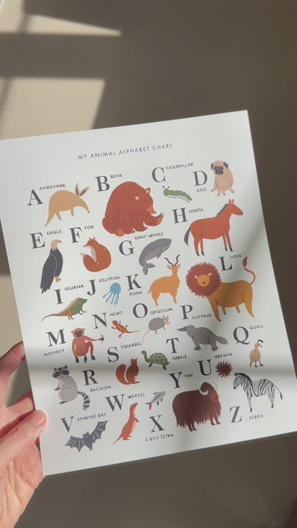 ABC Animal Alphabet